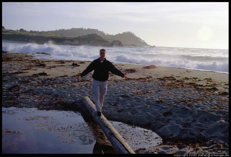 Beach just north of Point Lobos, CA. Aug 2000